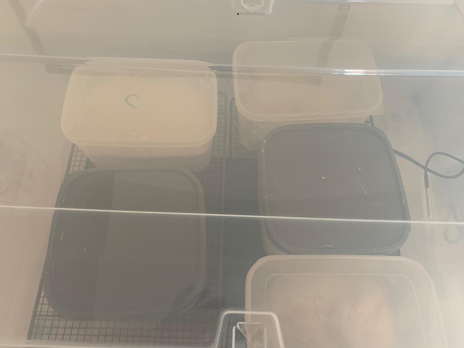 DIY Proofing Box The Fresh Loaf